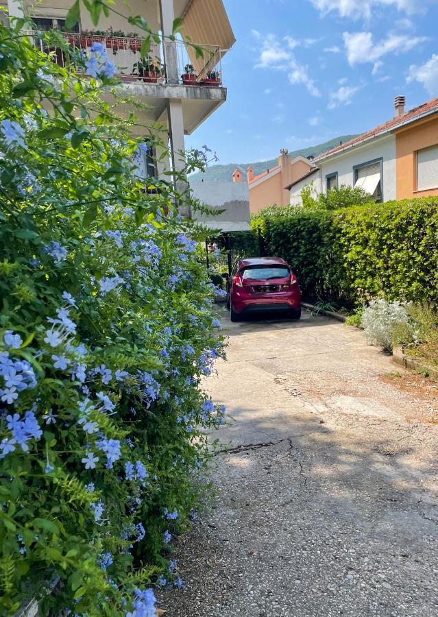 Apartment Garden Kotor Exteriör bild