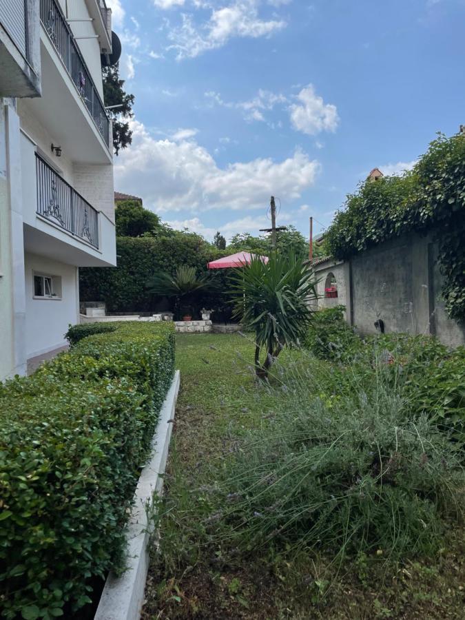 Apartment Garden Kotor Exteriör bild