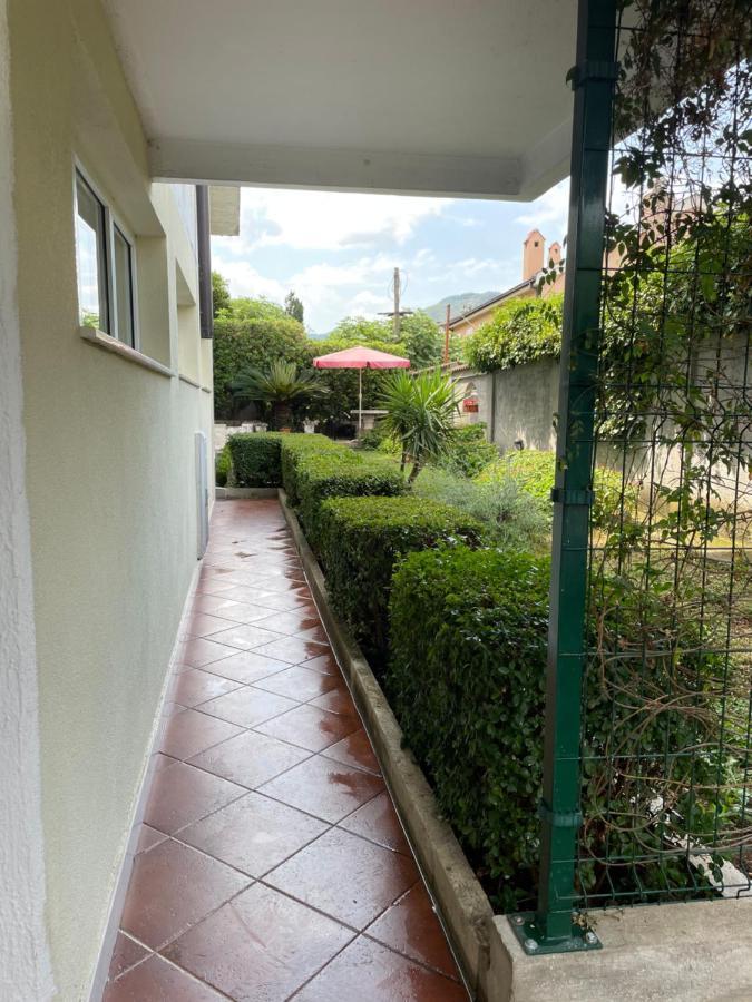 Apartment Garden Kotor Exteriör bild