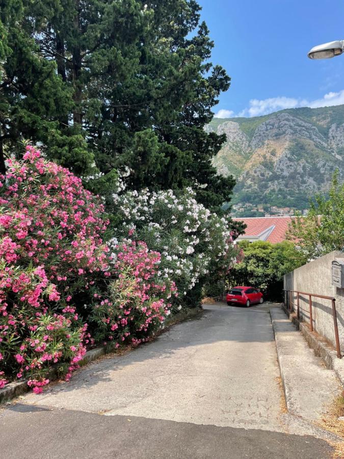 Apartment Garden Kotor Exteriör bild